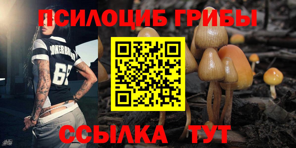 Псилоцибиновые грибы прущие грибы Алатырь