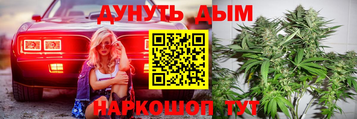 Канабис семена  Вход с VPN  Марихуана THC 21%  Алатырь  Марихуана конопля 